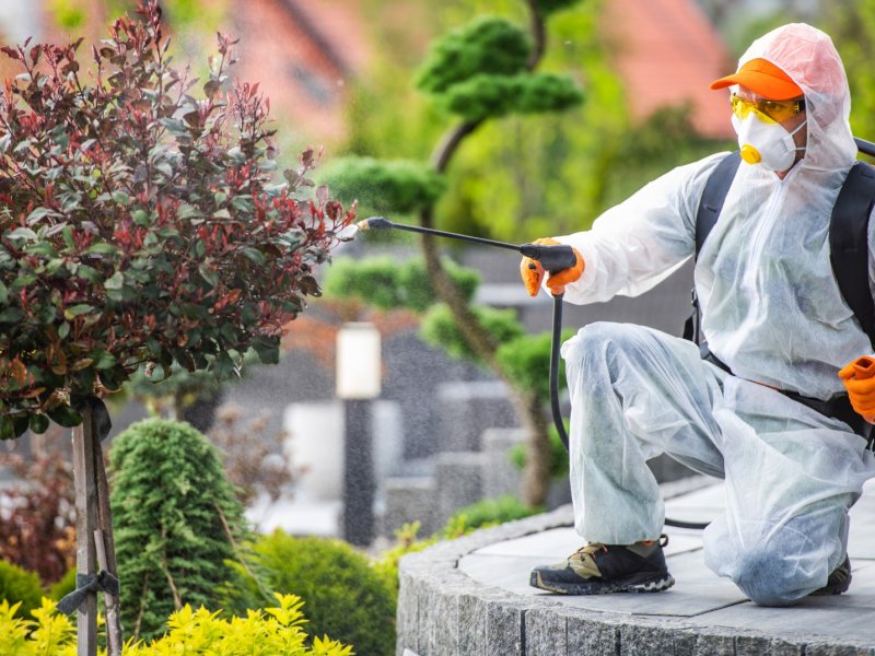 Kemer Haşere İlaçlama