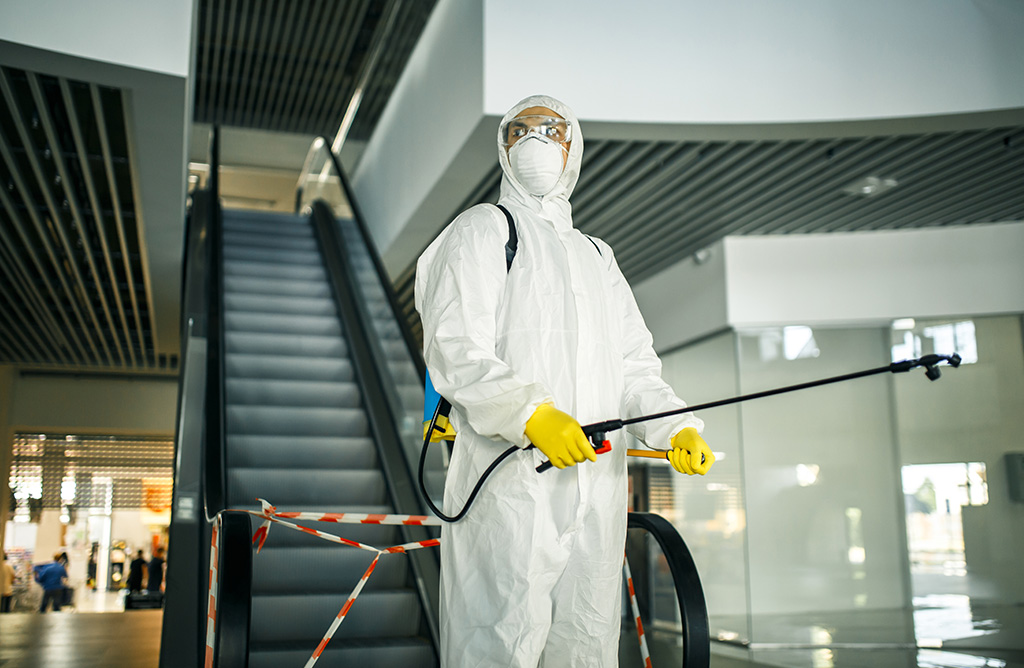 Kemer Haşere İlaçlama